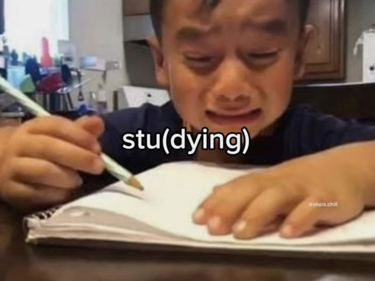 012_매일 2-5시간 영어공부프로젝트